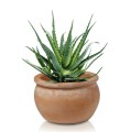 Ceramiczna donica ogrodowa niska Ø50 - Polnix