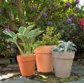 Doniczka z terakoty z rantem Ø22, jasna terakota - Polnix