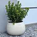 Donica ogrodowa ceramiczna Ø47, kremowa - Polnix