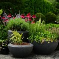 Płaska donica ogrodowa z włókna ceramicznego Ø50, antracyt - Polnix