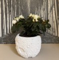 Ceramiczna osłonka ze strukturalnym wzorem Ø21, biała - Polnix