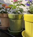 Doniczka ceramiczna z podstawką, z żebrowanym wzorem Ø12 - Polnix