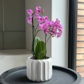 Ceramiczna osłonka doniczkowa z wypukłą strukturą Ø15 - Polnix