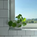 Kwadratowa doniczka ceramiczna z podstawką 20x20, biała - Polnix