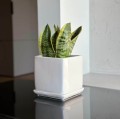 Kwadratowa doniczka ceramiczna z podstawką 20x20, biała - Polnix