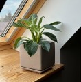 Kwadratowa doniczka ceramiczna z podstawką 17x17, szara - Polnix