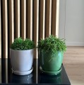 Doniczka ceramiczna z podstawką Ø17, zielona- Polnix