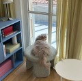 Pufa na nogach Rocco, zielona - Hubsch