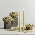 Minimalistyczny świecznik na pojedynczą świecę stożkową Light mosiężny, 2pak - Uyuni