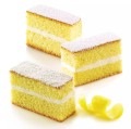 Forma silikonowa do monoporcji podłużnych Mini Cake - Silikomart