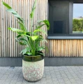 Wysoka donica ogrodowa ceramiczna szkliwiona zielona 65 cm - Polnix