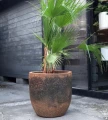 Mrozoodporna donica ogrodowa ręcznie wykonana Ø 46 cm, brąz - Polnix