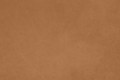 dunes-camel
