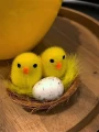 Kurczaczki wielkanocne gniazdko - Ozdoby Wielkanocne