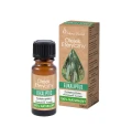 Eucalyptus essential oil 10 ml - Vera Nord