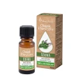 Sage essential oil 10 ml - Vera Nord