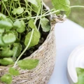 Seagrass basket - House Doctor