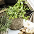 Seagrass basket - House Doctor