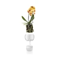 Orchid pot Ø15 with self-watering system - Eva Solo