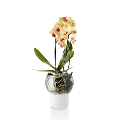 Orchid pot Ø15 with self-watering system - Eva Solo