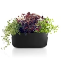 Doniczka na zioła z system samonawadniania Herb Organiser czarna - Eva Solo