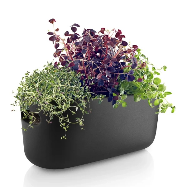 Herb pot with self-watering system Herb Organizer black - Eva Solo
