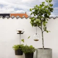 Karmnik dla ptaków na nodze Bird Table, szklany - Eva Solo