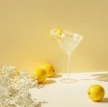 Kieliszek do martini 180 ml - Eva Solo
