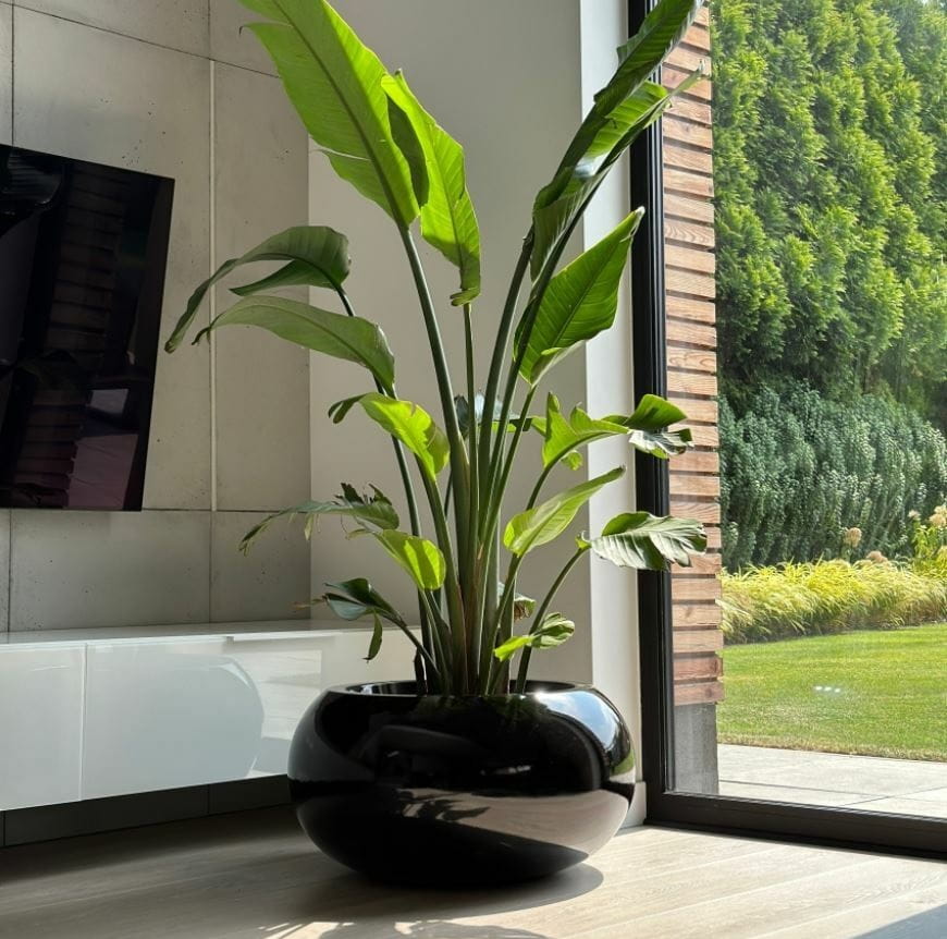 płaska donica, natural home decor