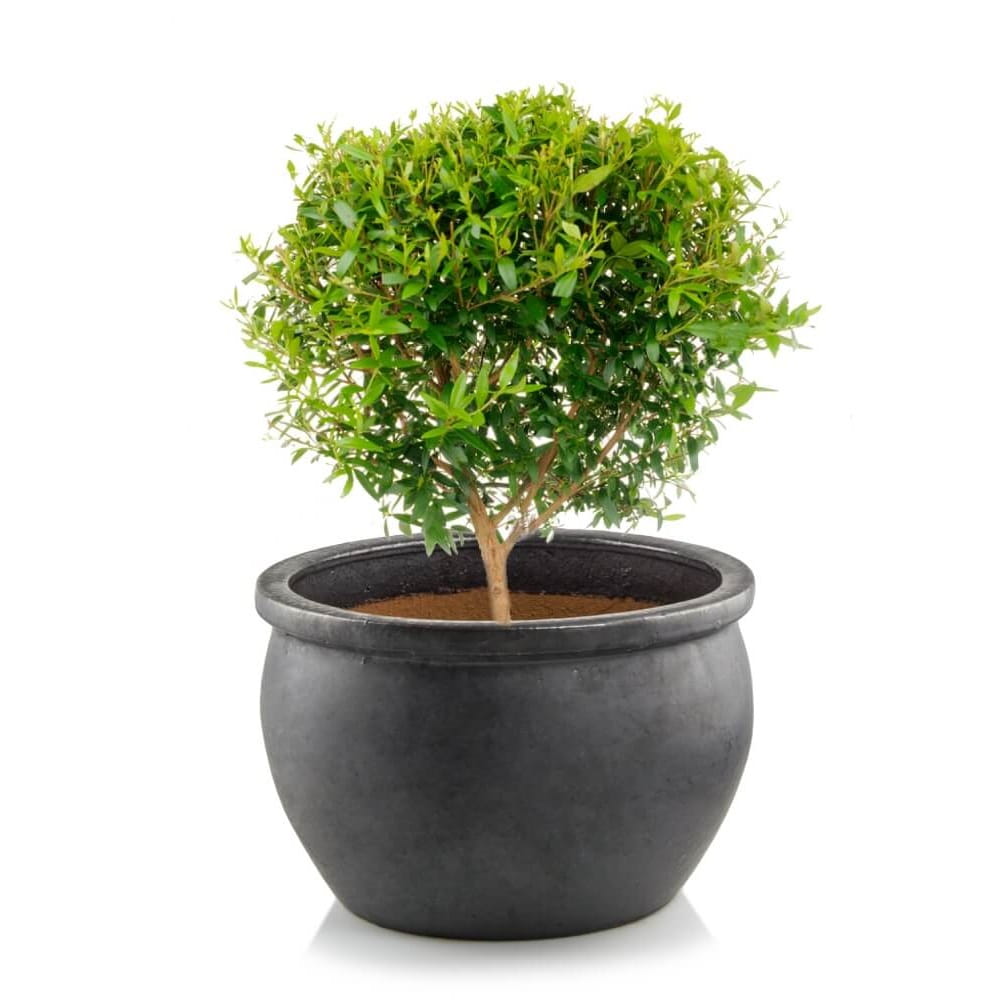 ceramiczna donica ogrodowa, natural home decor