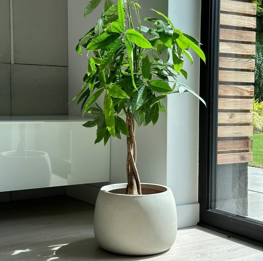 donice z włókna ceramicznego, natural home decor