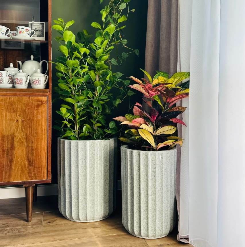 wysoka donica do salonu, natural home decor