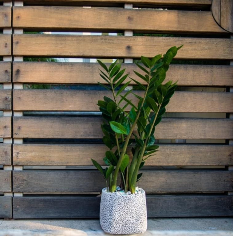osłonka doniczkowa, natural home decor